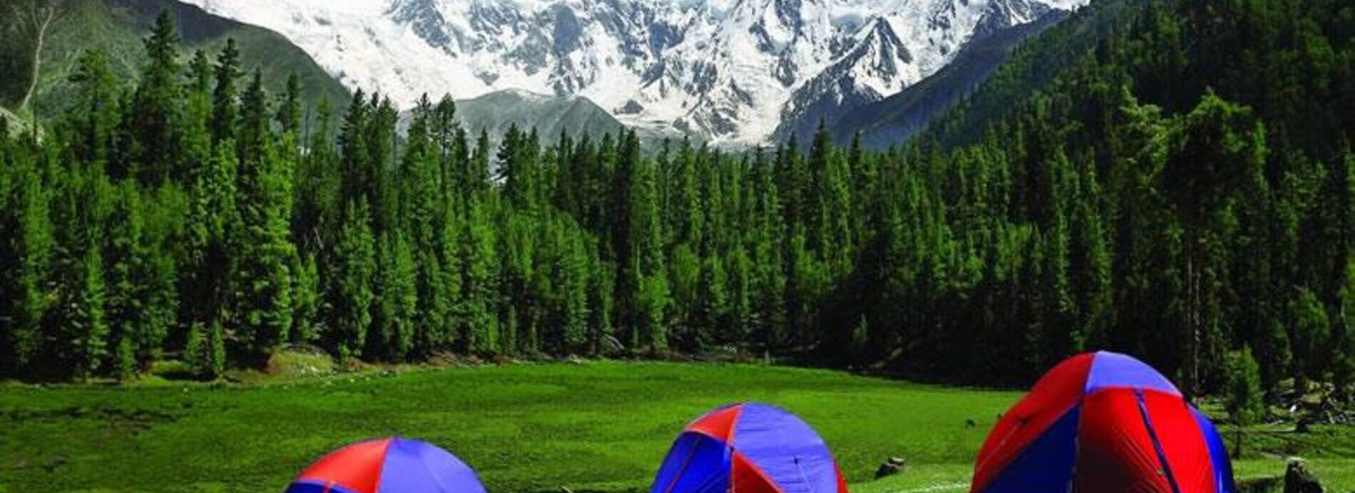 fairy meadows